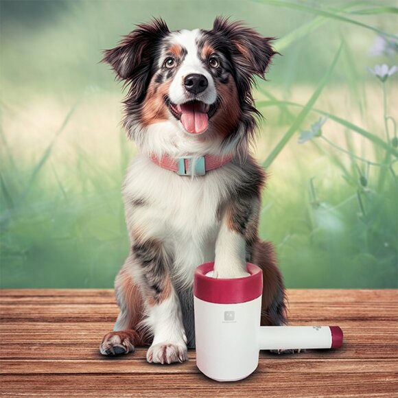 Paw Washer - Picture 1 of 12